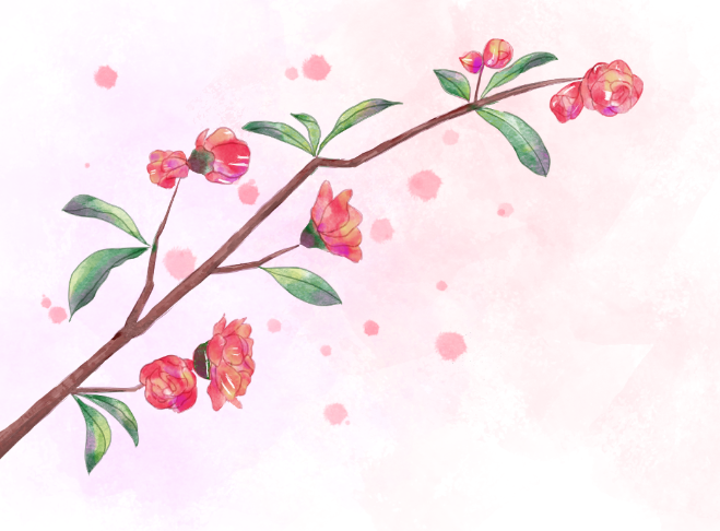 image-20240129090558-5